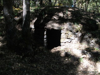 Demanio monte Crisimo